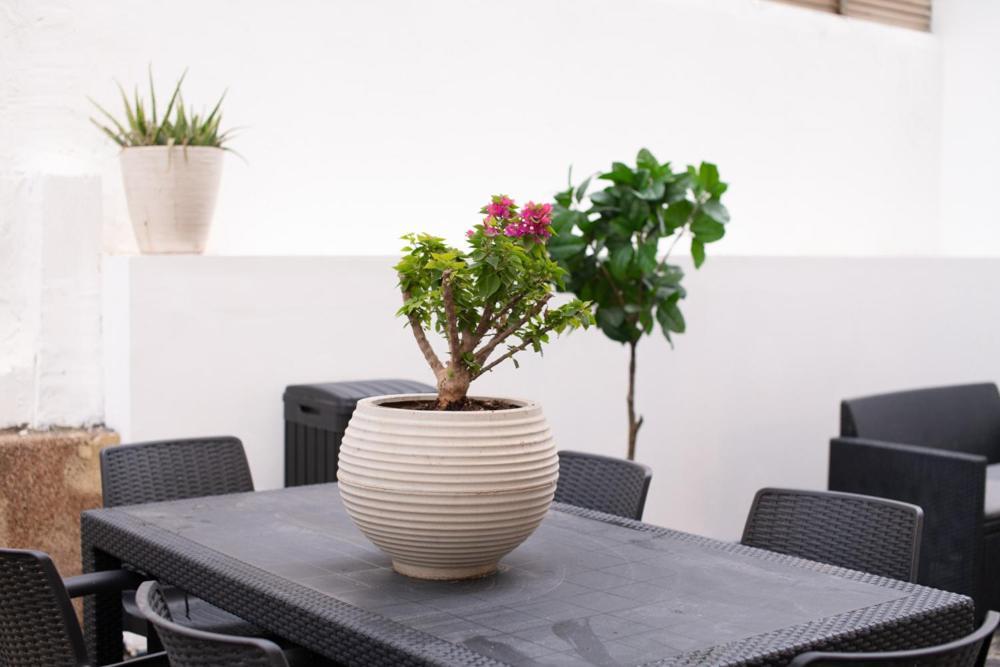 텔아비브 Sublet Tlv 270 아파트 외부 사진